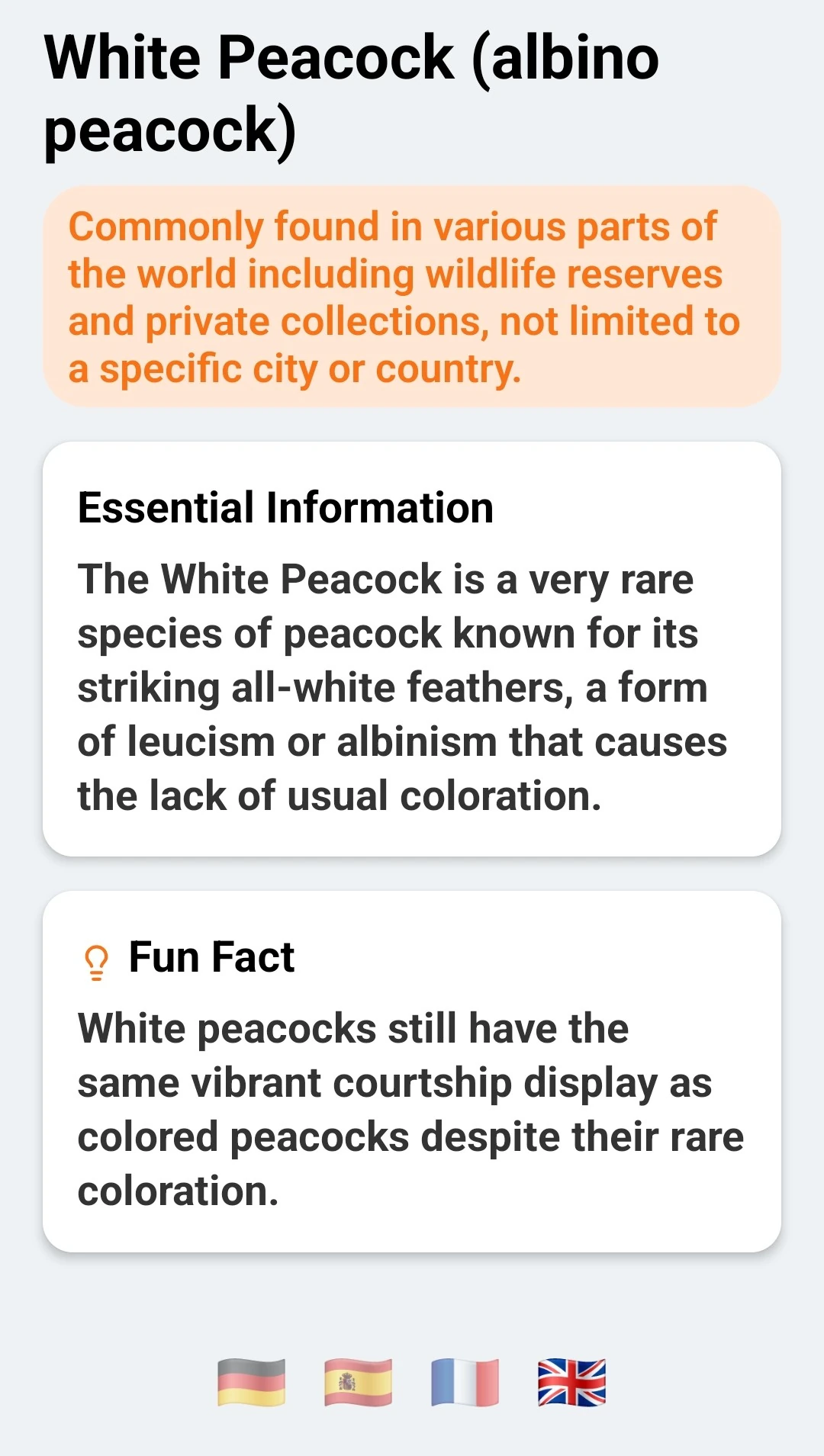 Travel Pal result for White Peacock